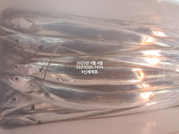 1756937906327.jpg