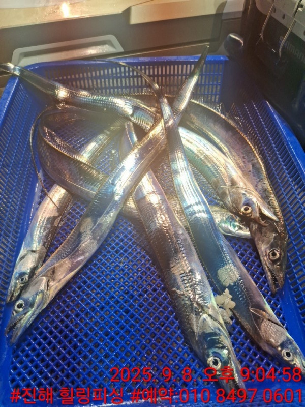 KakaoTalk_20250908_215743671_04.jpg