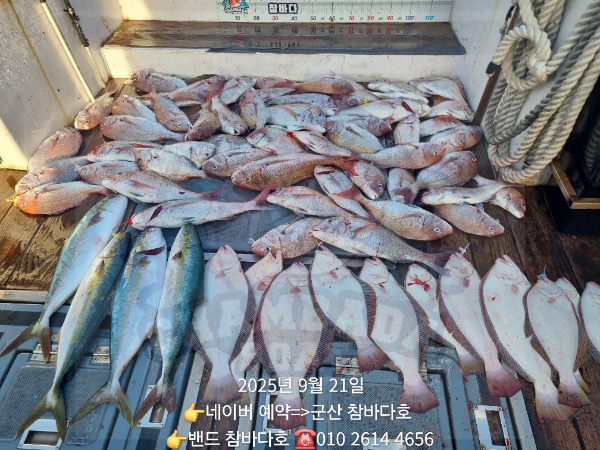 1000029628.jpg