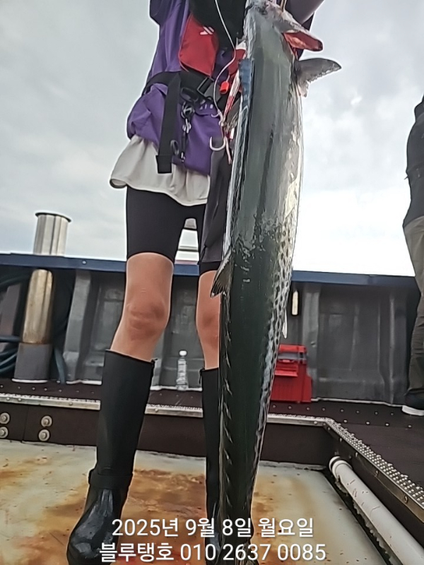20250908_175658.jpg