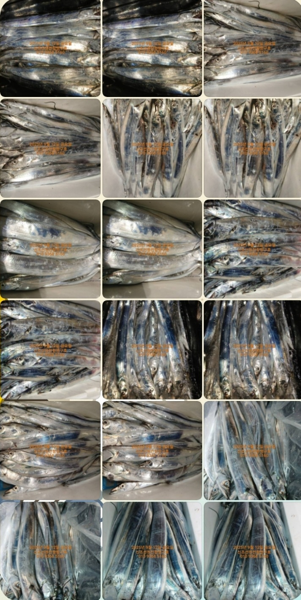 KakaoTalk_20250913_041817566.jpg