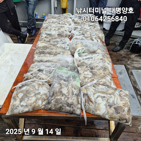 KakaoTalk_20250914_152500953_05.jpg