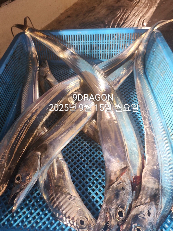 C9911045-AE01-4A92-A1FE-10465ECE360E.jpeg
