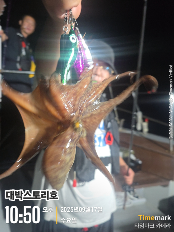 2025-09-17 10.50.50__(대박스토리호).jpg