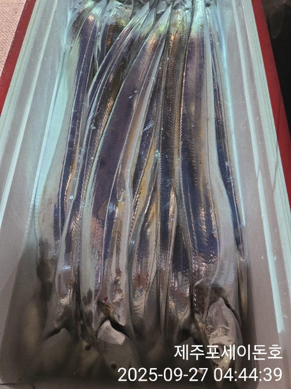 1000018911.jpg