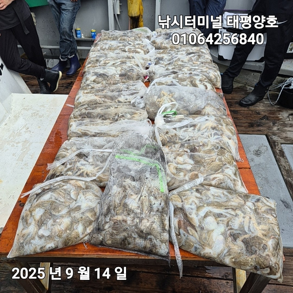 KakaoTalk_20250914_152500953_01.jpg