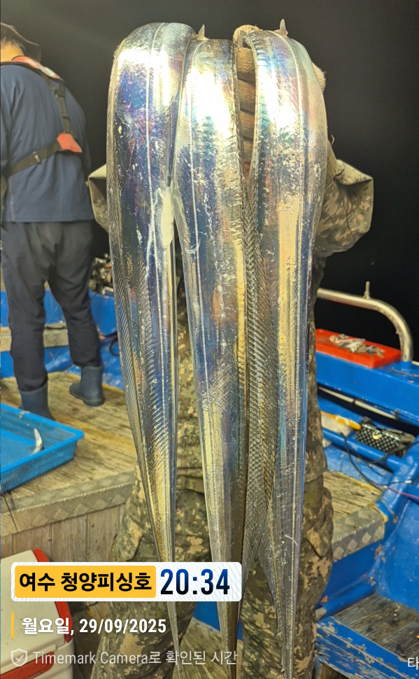 2025-09-29 20.34.48__(제목-여수 청양피싱호).jpg