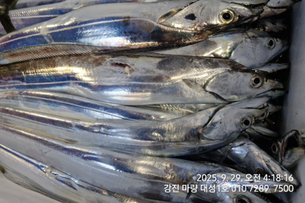 c568a340e63485e46c3b39a101b984a9.jpg