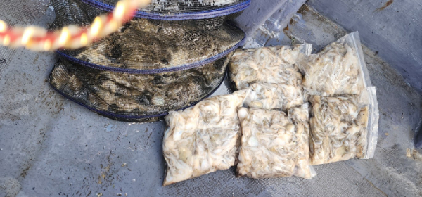 예지퀸호 농어외수질&어초낚시 경기인천권_사진_20250904_13.jpg