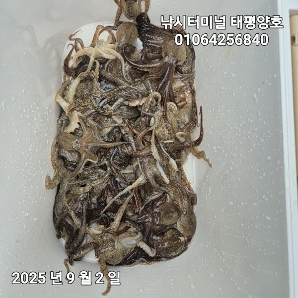 KakaoTalk_20250902_114134700_11.jpg