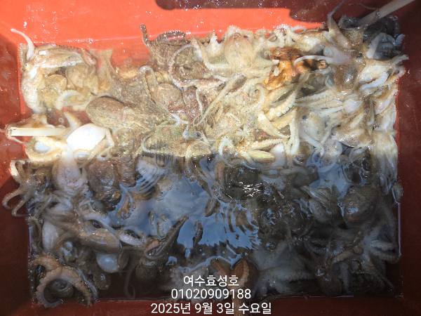 c5cbd5aa26be969fcbda27fb3443259b.jpg