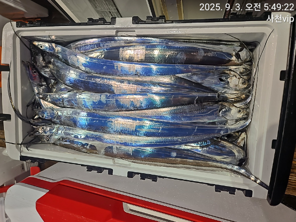 1756846956172.jpg