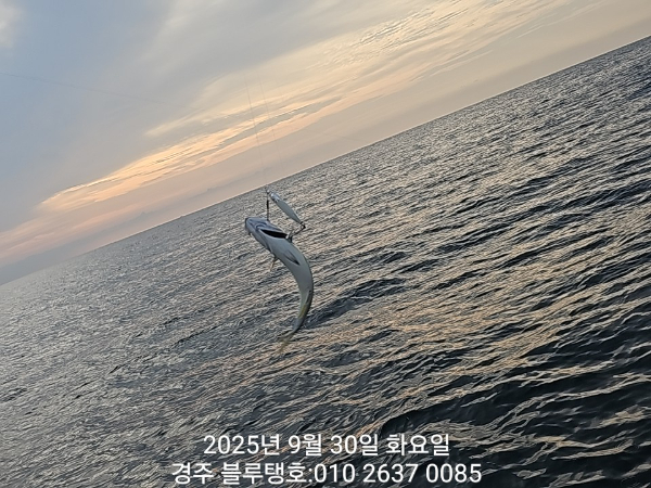 20250930_072506.jpg