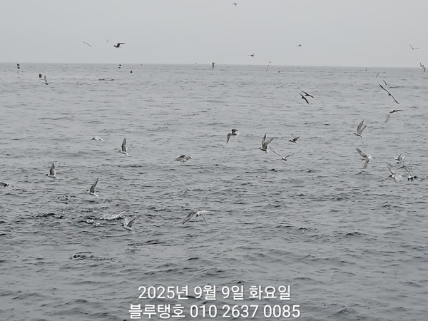 20250909_154921.jpg