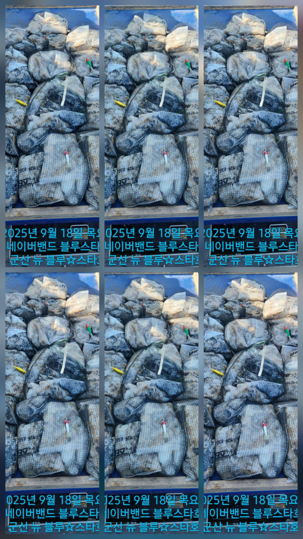 1000026318.jpg