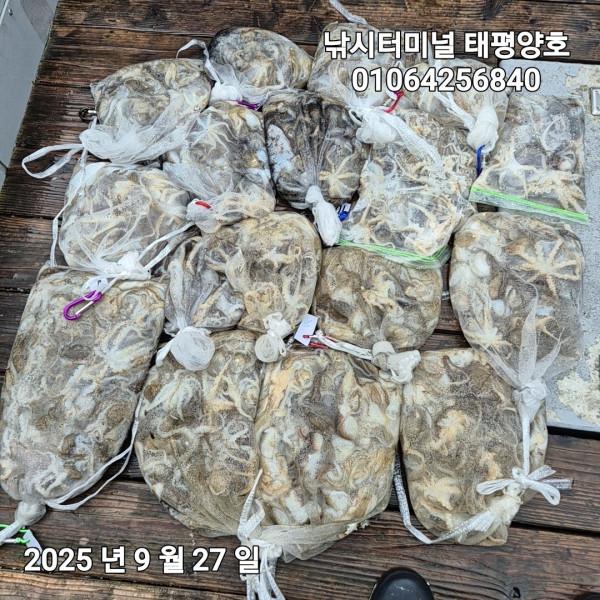 KakaoTalk_20250927_154750302_04 (1).jpg