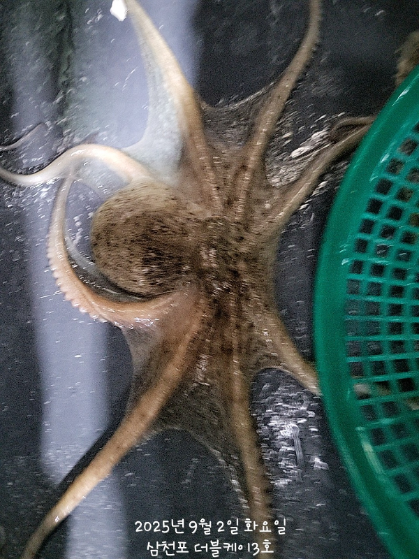KakaoTalk_20250902_193738549.jpg