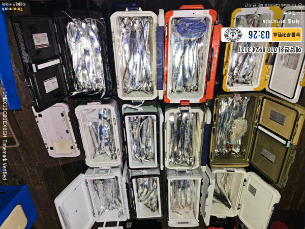 2025-09-16 03.26.43_대한민국_(제목-뉴블루마린호)_(예약전화 010 8924 3131).jpg