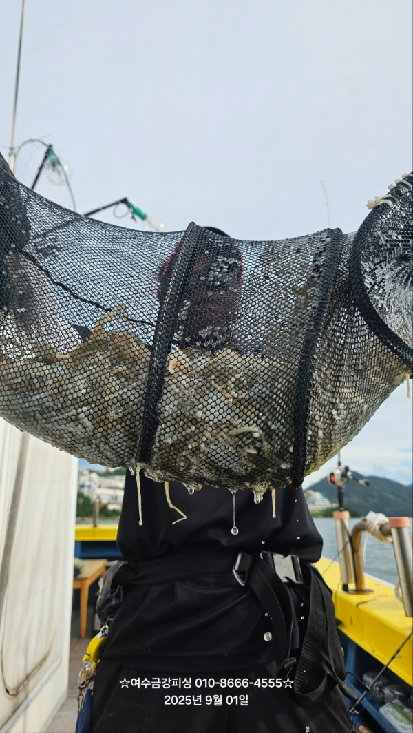 여수금강피싱_사진_20250901_7.jpg