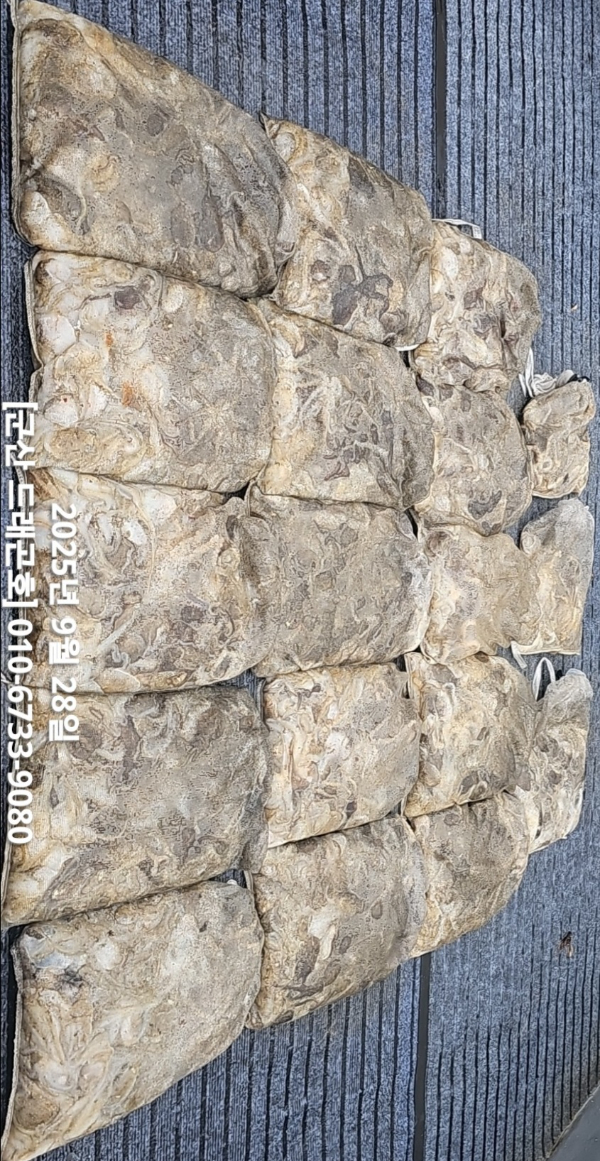 KakaoTalk_20250928_181438201_11.jpg