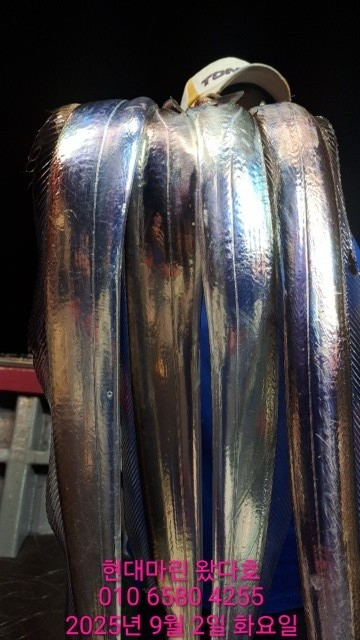 BandPhoto_2025_09_02_08_45_44_5.jpg