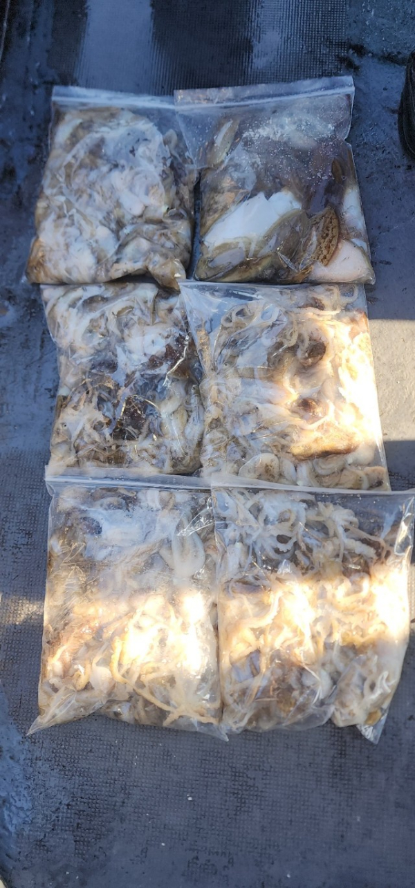 예지퀸호 농어외수질&어초낚시 경기인천권_사진_20250918_17.jpg