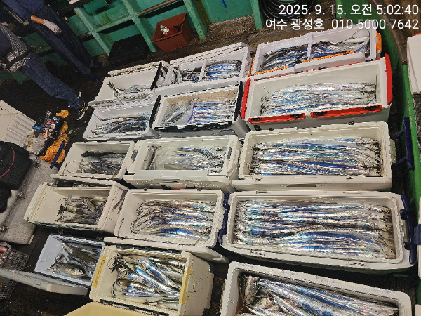 KakaoTalk_20250915_100834010_12.jpg