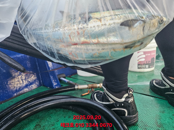 KakaoTalk_20250921_091613450_06.jpg