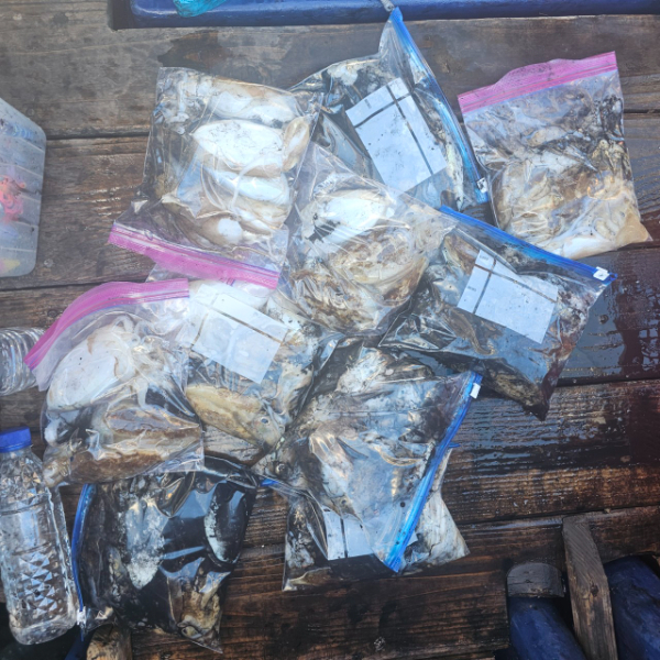 마검포 대한호(VIP)_사진_20250923_11.jpg