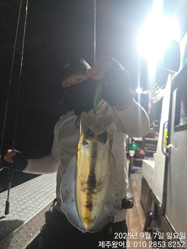 제주왔어호_사진_20250909_20.jpg