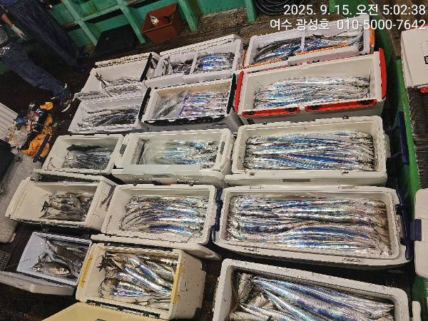 KakaoTalk_20250915_100834010_10.jpg