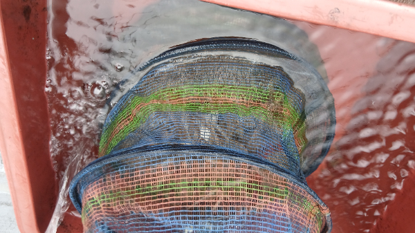 주꾸미 조황정도 3.jpg