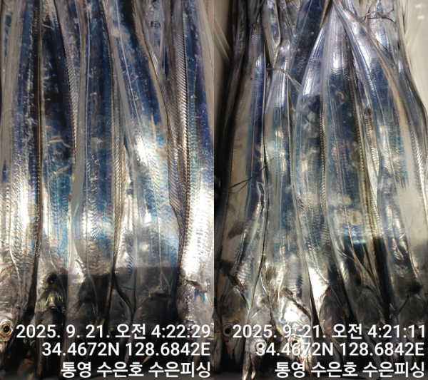 1758403153485-tile.jpg