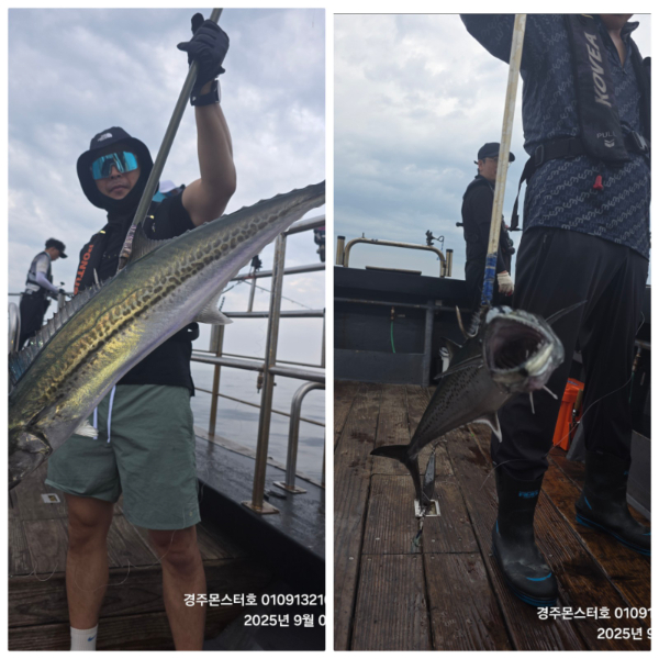 cbf16d566dcd05fb5ed485684cc1b220.jpg