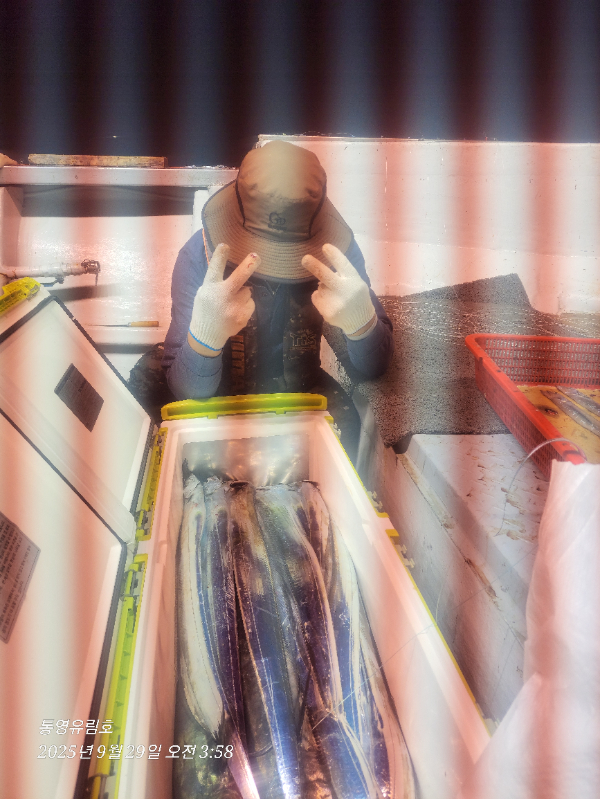 cc0903c116689981a3df32d812a376f4.jpg