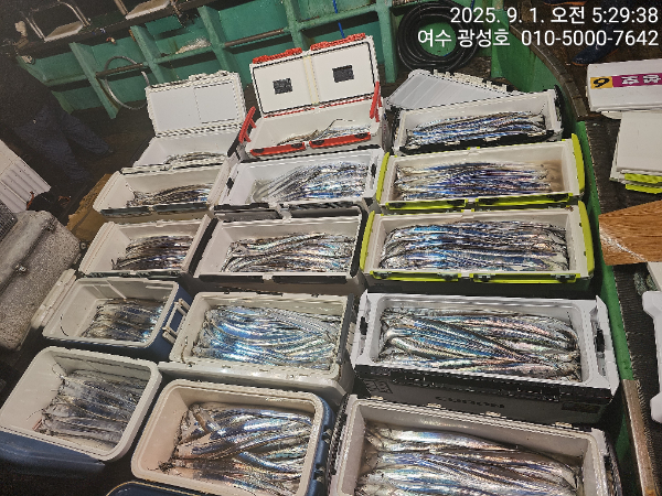 KakaoTalk_20250901_152431635_14.jpg
