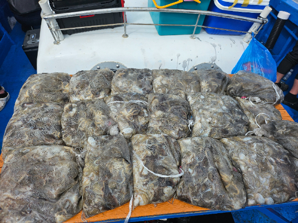 KakaoTalk_20250914_164717523_04.jpg