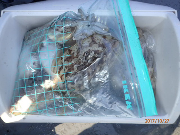 cd14abd44c2b8973bac719fa490f5cde.JPG