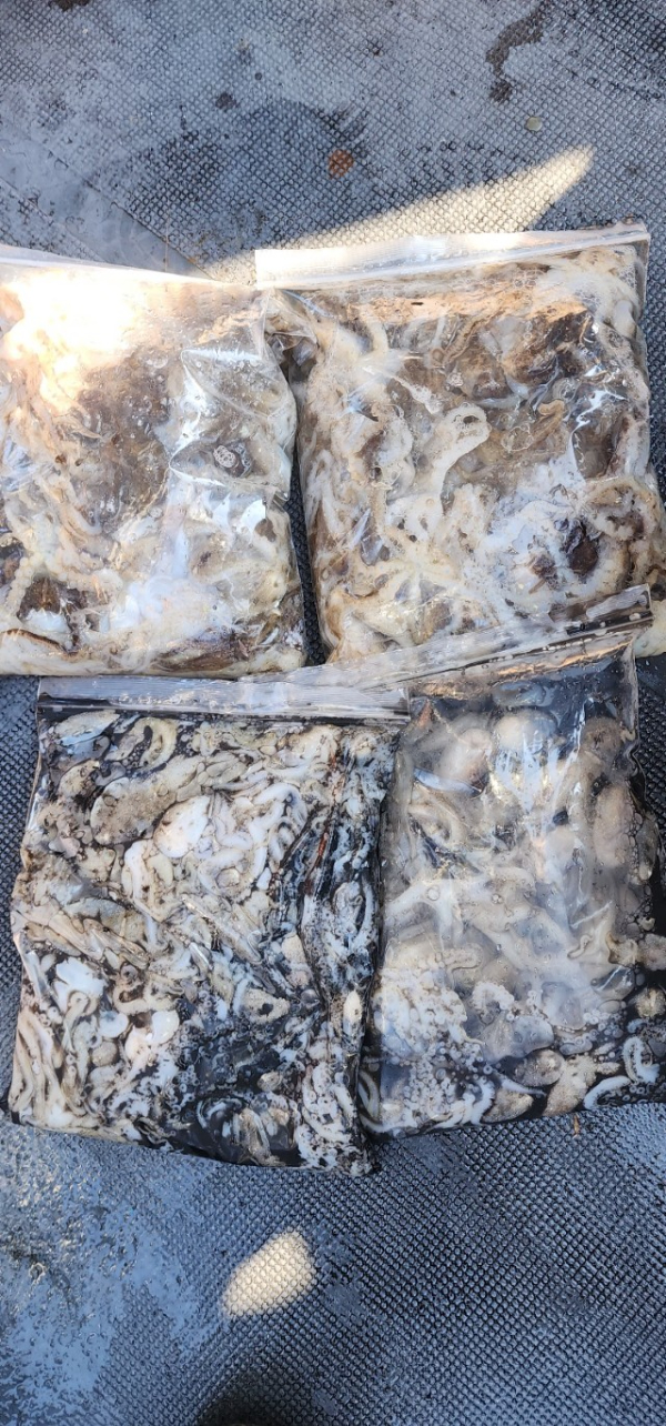 예지퀸호 농어외수질&어초낚시 경기인천권_사진_20250918_20.jpg