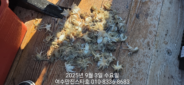 cf093a21b63e877fdef21cd165bc6185.jpg