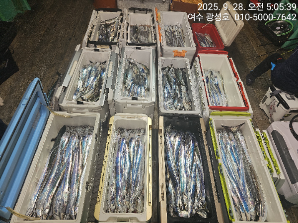 KakaoTalk_20250928_162921439_09.jpg