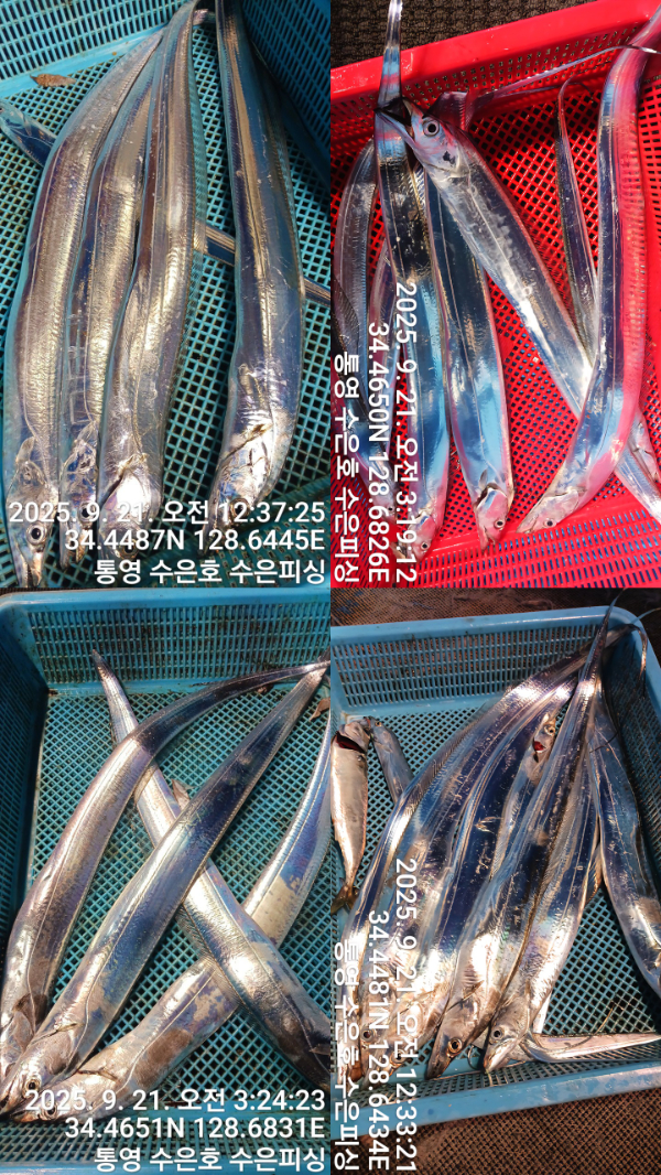 1758403154042-tile.jpg