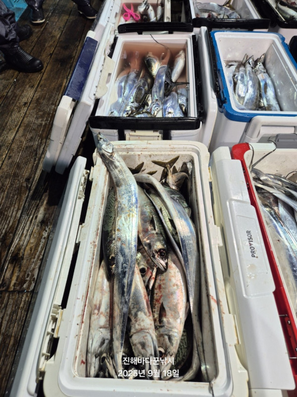 바다꾼낚시(신아라호)_사진_20250918_10.jpg