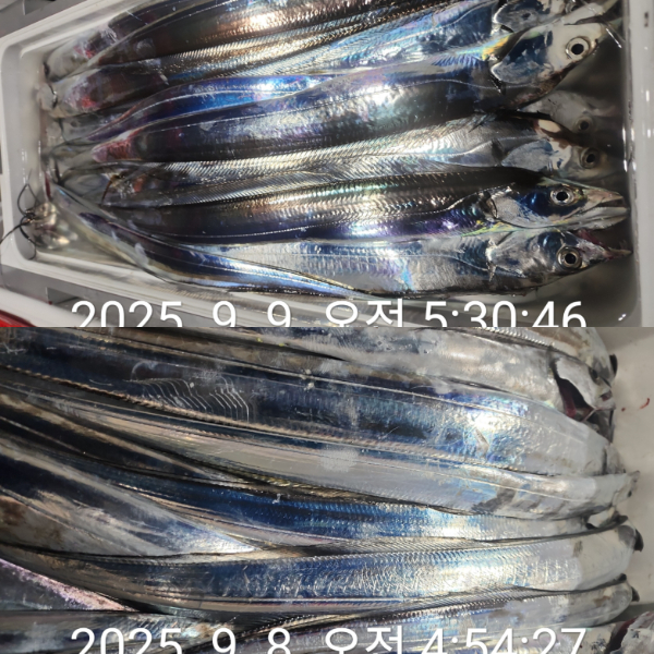 1000071874.jpg