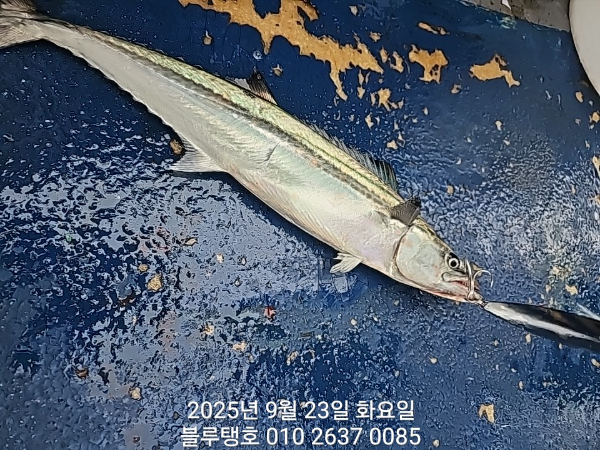 20250923_070128.jpg
