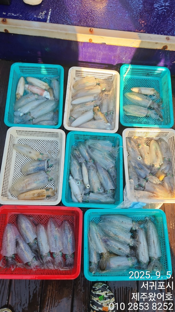 제주왔어호_사진_20250905_1.jpg