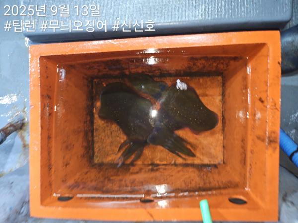 신신낚시 강구점 신신호_사진_20250913_8.jpg