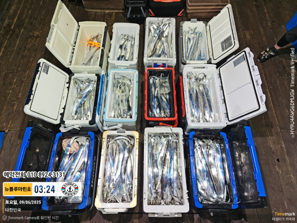 2025-09-06 03.24.42_대한민국_(제목-뉴블루마린호)_(예약전화 010 8924 3131).jpg