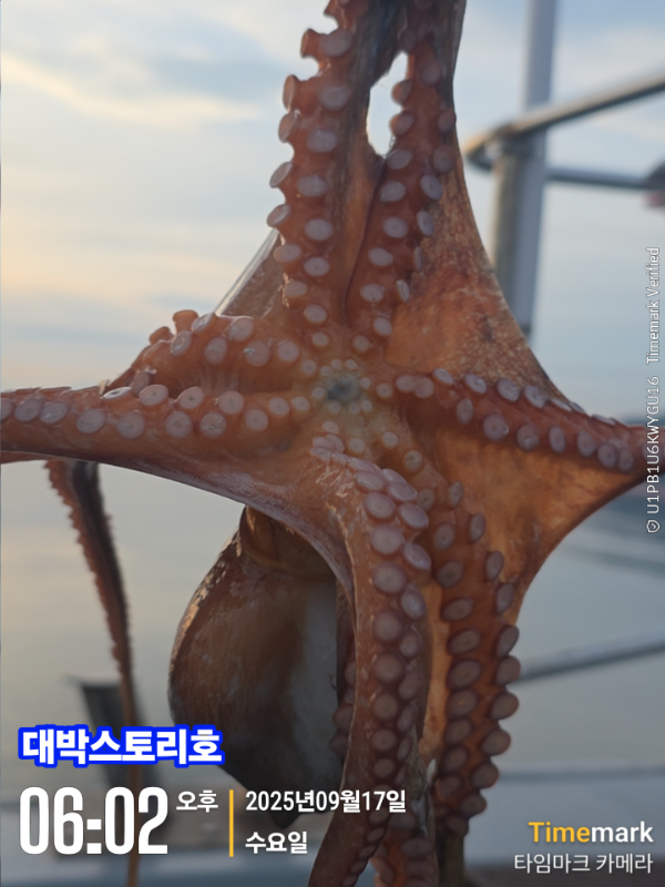 2025-09-17 06.02.46__(대박스토리호).jpg