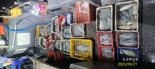 DateCamera0927004152.jpg